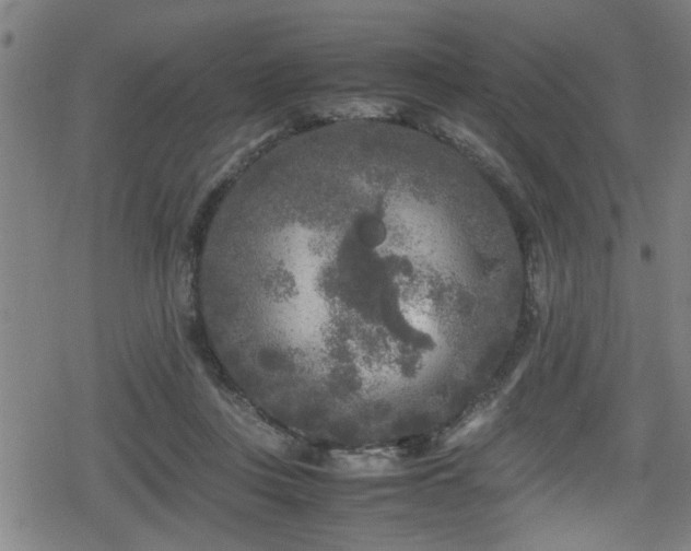 X0000078860359200611131209