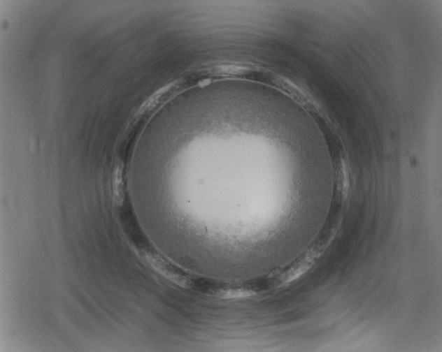 X0000078860360200611131209