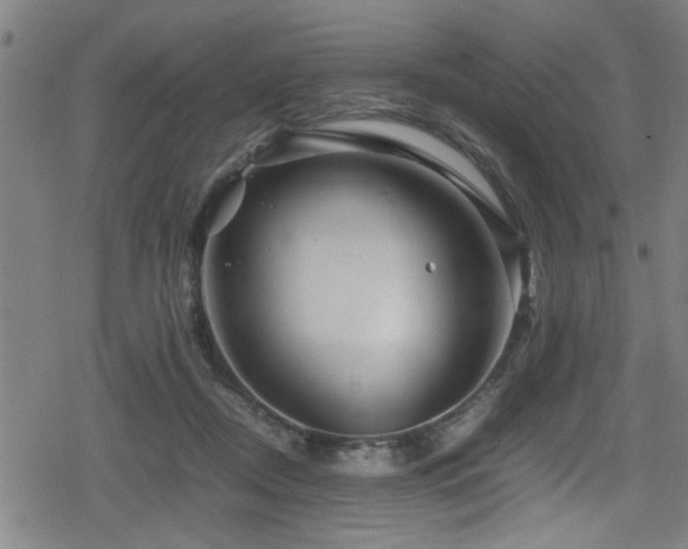 X0000078860362200611131209