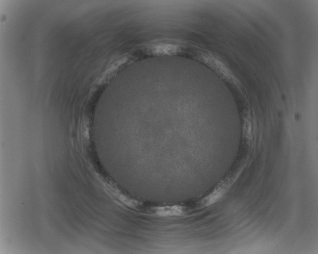 X0000078860363200611131209