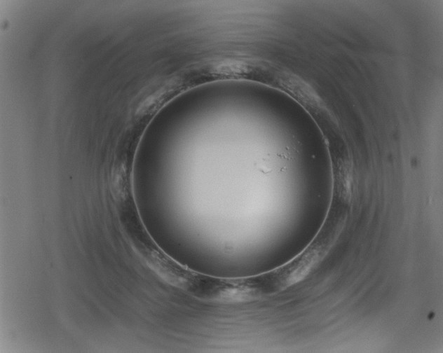 X0000078860364200611131209