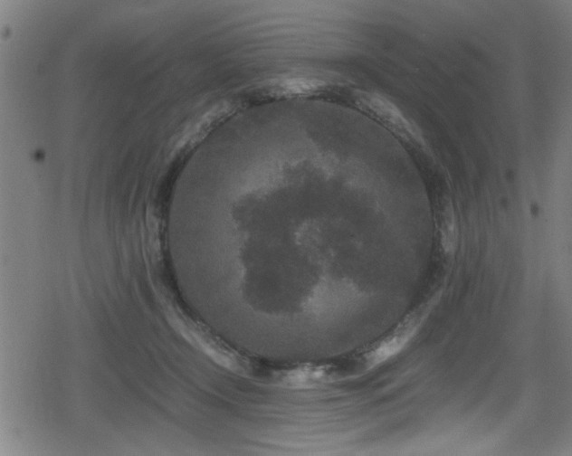 X0000078860366200611131209