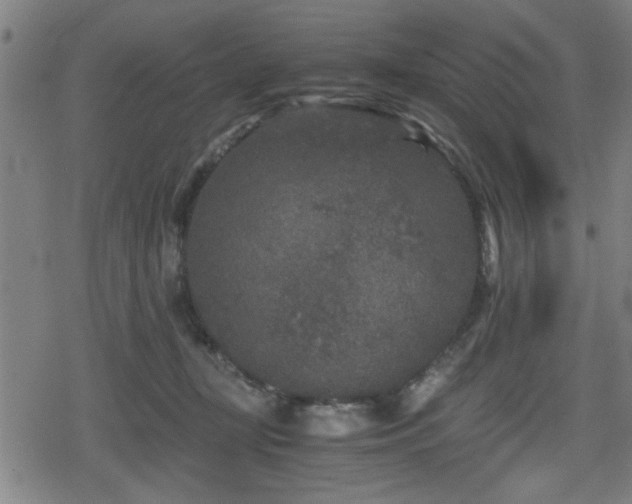 X0000078860367200611131209