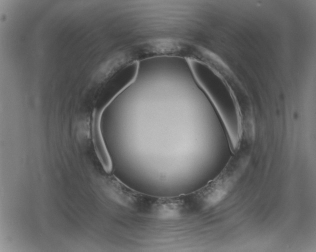 X0000078860368200611131209