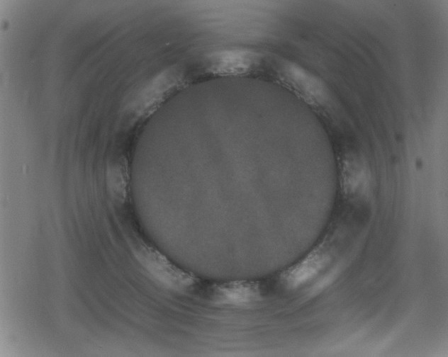 X0000078860370200611131209