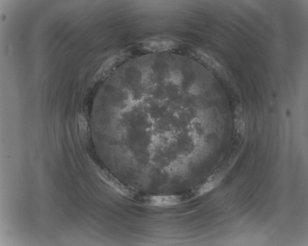 X0000078860371200611131209