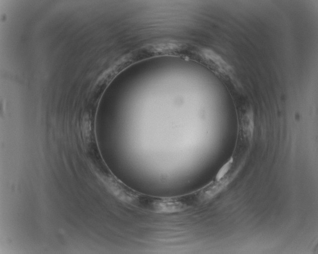 X0000078860372200611131209