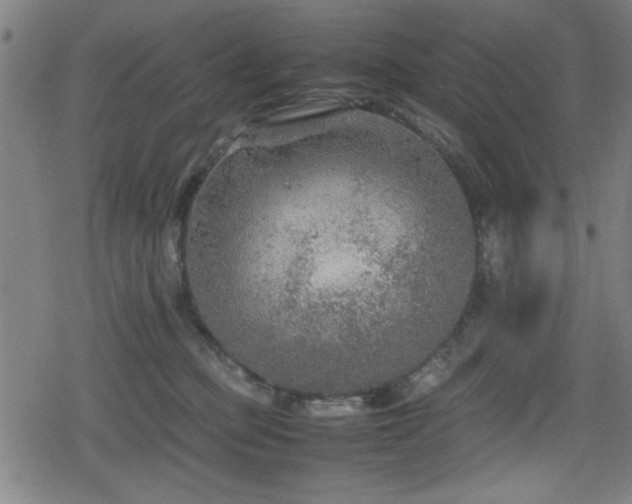 X0000078860373200611131209