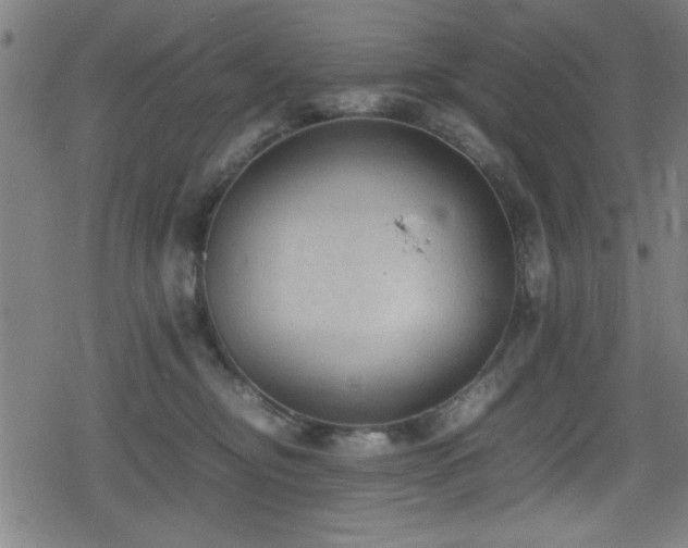 X0000078860374200611131209