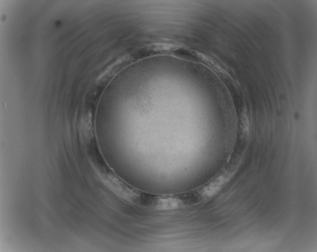 X0000078860376200611131209