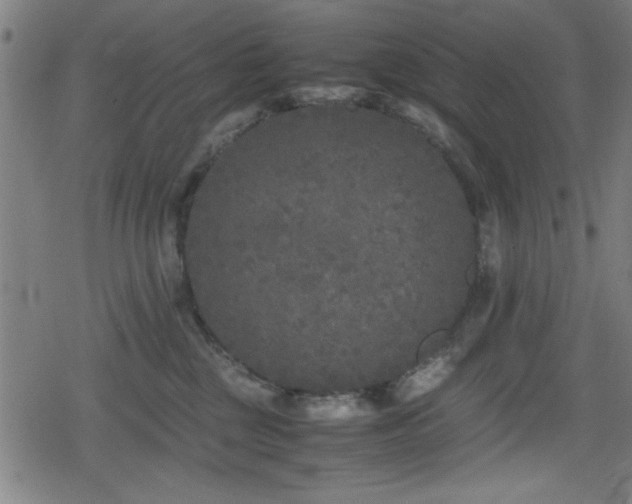 X0000078860377200611131209