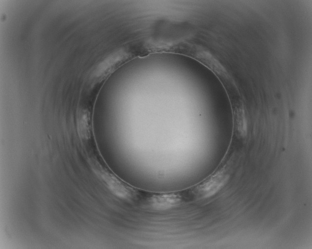 X0000078860378200611131209