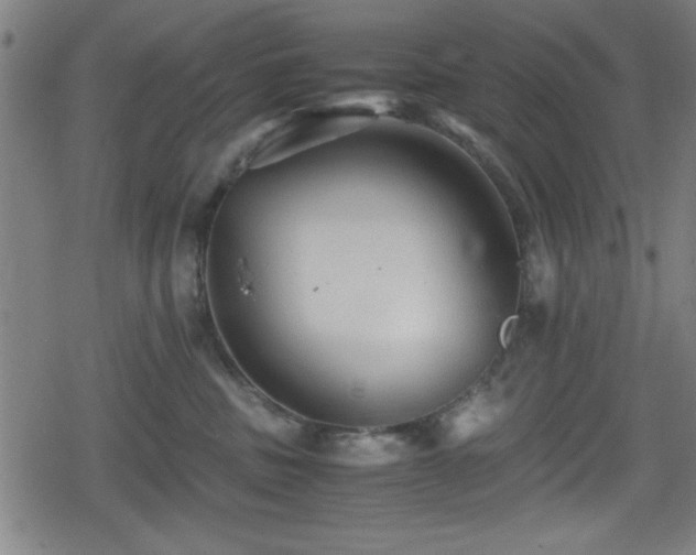 X0000078860379200611131209