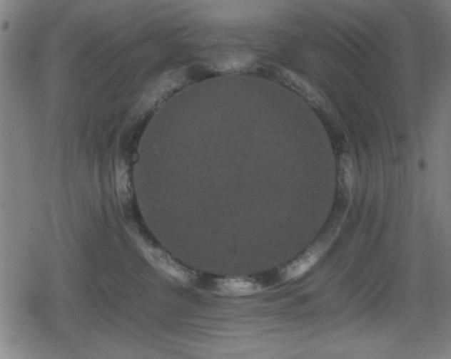 X0000078860380200611131209