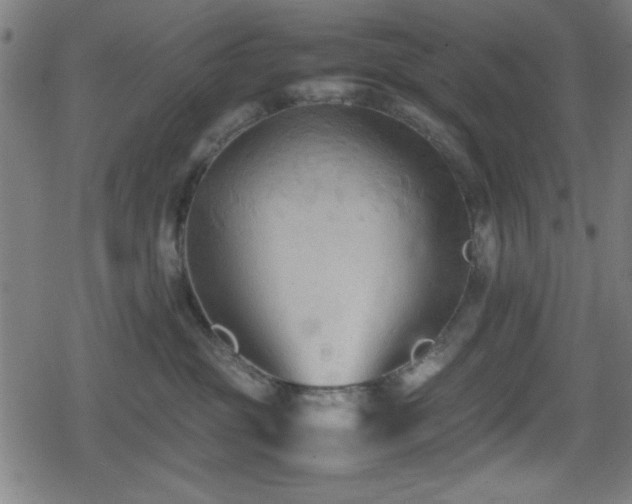 X0000078860381200611131209