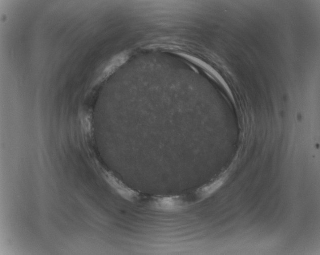 X0000078860382200611131209