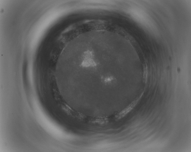 X0000078860383200611131209