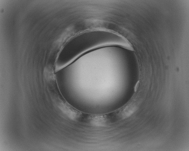 X0000078860384200611131209