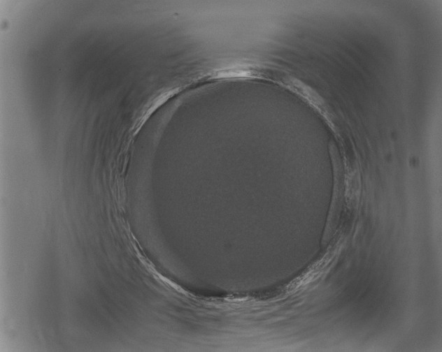 X0000078860385200611131208