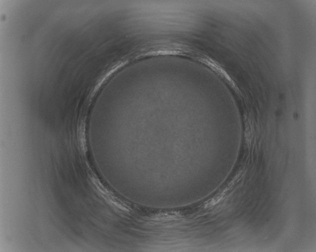 X0000078860386200611131208