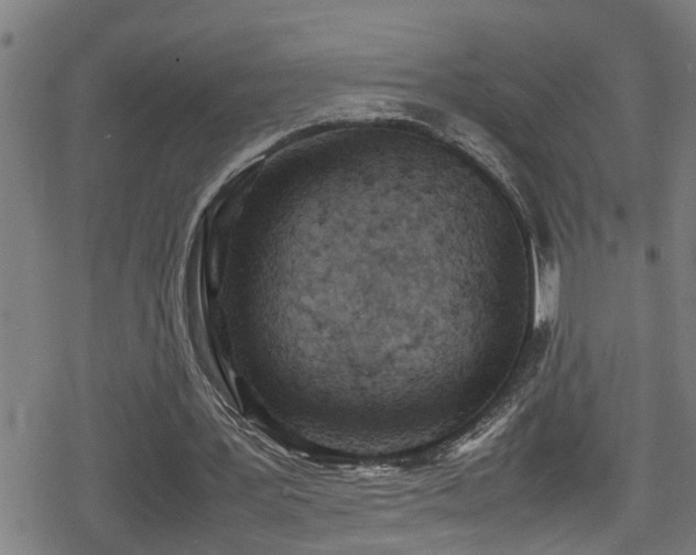 X0000078860387200611131208