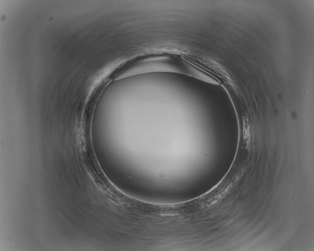 X0000078860388200611131208