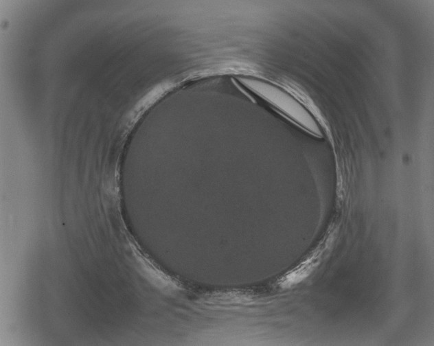 X0000078860389200611131208