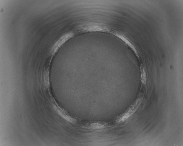 X0000078860390200611131208