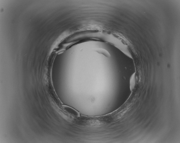 X0000078860392200611131208