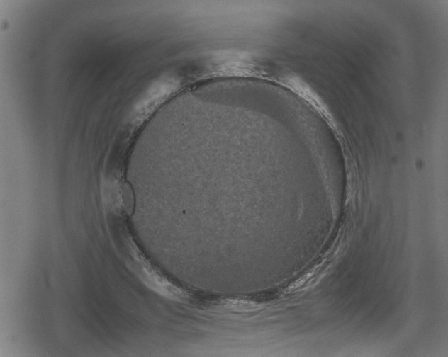 X0000078860393200611131208