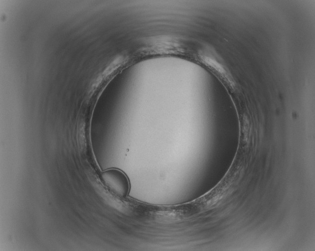 X0000078860394200611131208