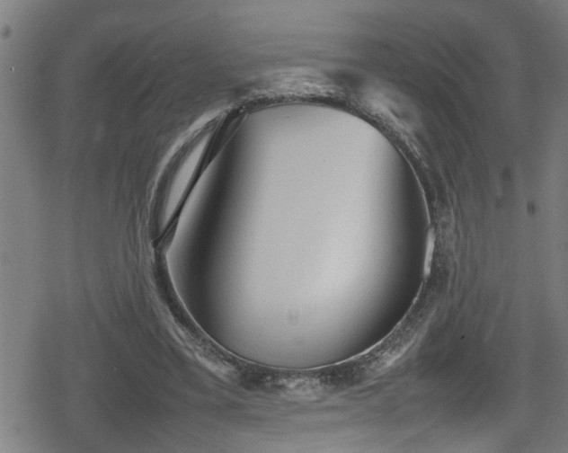 X0000078860395200611131208