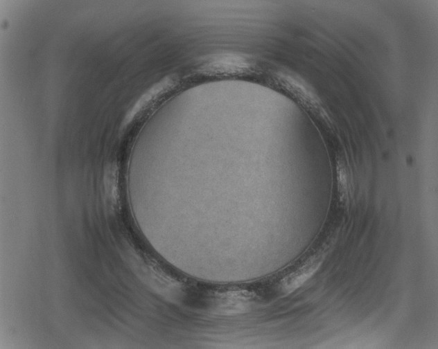 X0000078860396200611131208