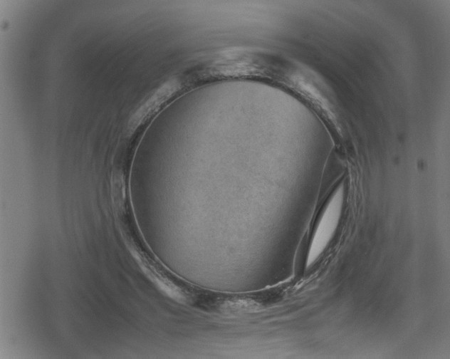 X0000078860397200611131208