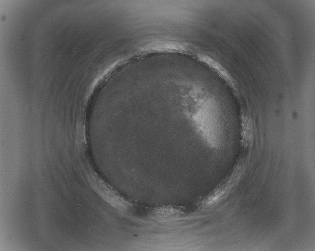 X0000078860399200611131208