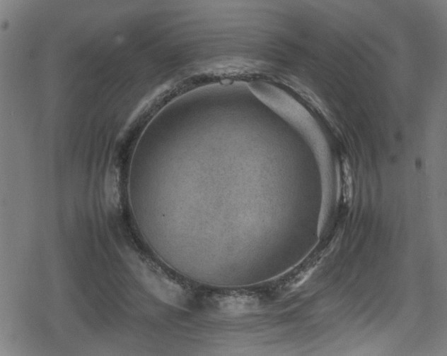 X0000078860400200611131208