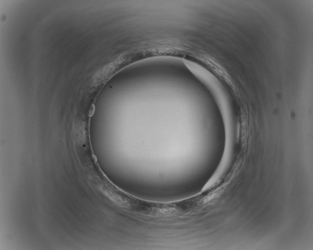 X0000078860401200611131208