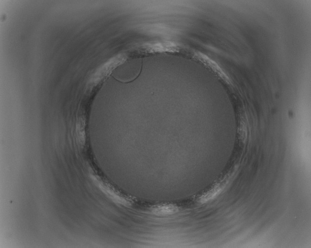 X0000078860402200611131208