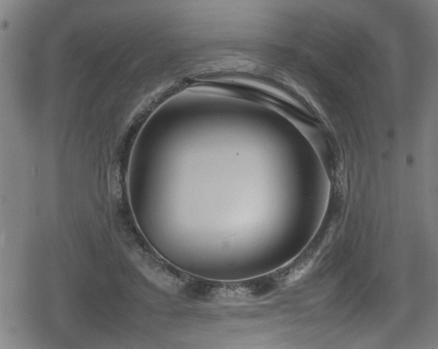 X0000078860403200611131208