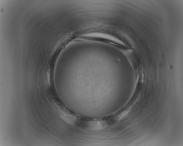 X0000078860404200611131208