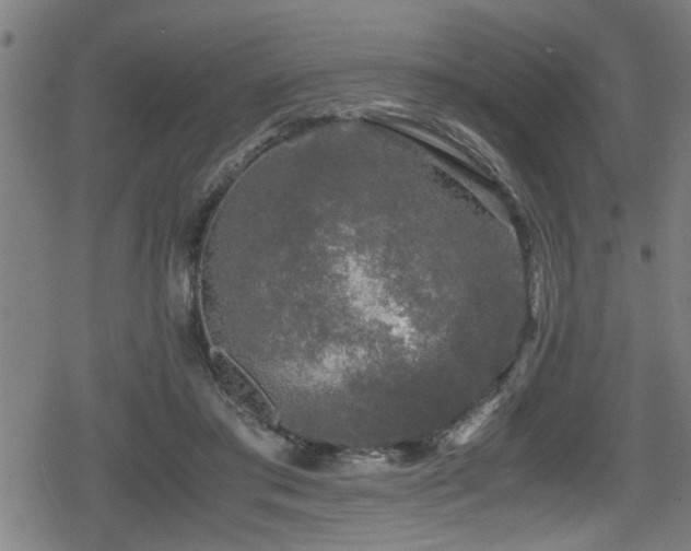 X0000078860405200611131208