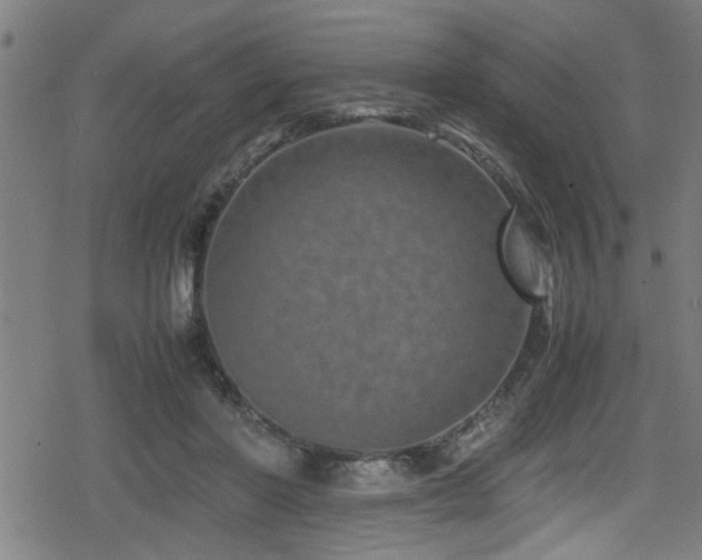 X0000078860406200611131208