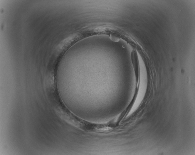 X0000078860407200611131208