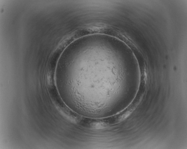 X0000078860408200611131208