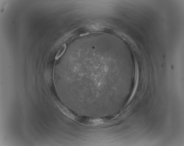 X0000078860409200611131208