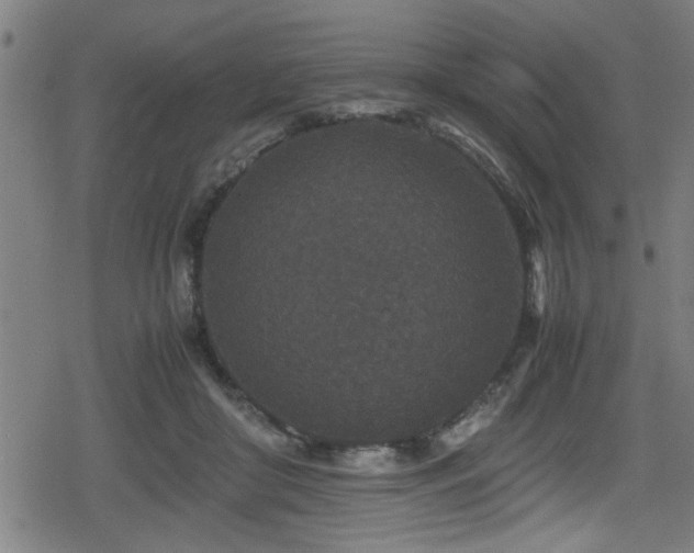 X0000078860410200611131208