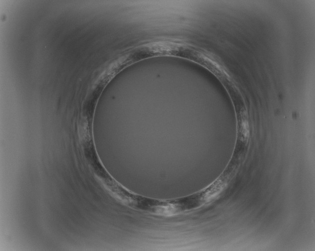 X0000078860411200611131208