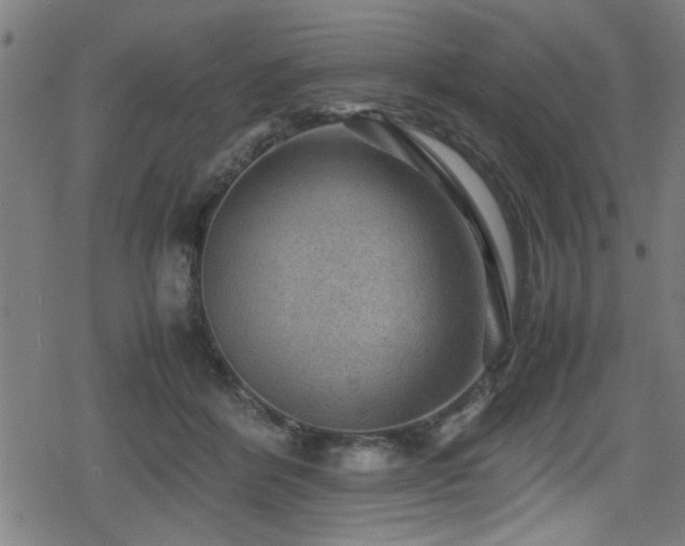 X0000078860412200611131208