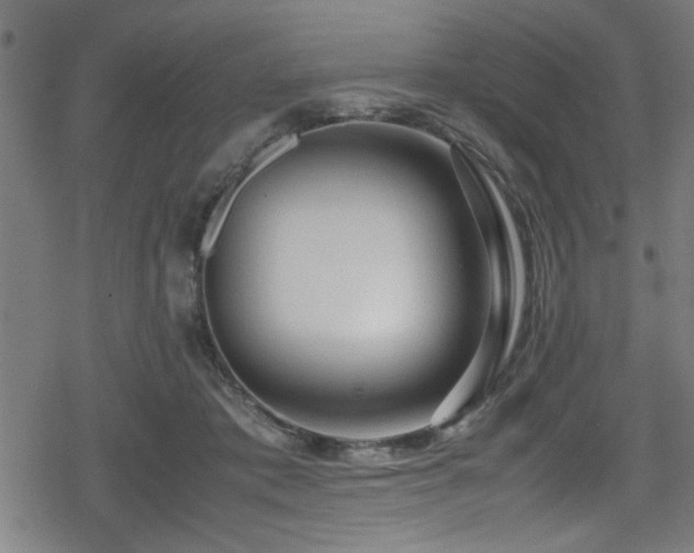 X0000078860413200611131208