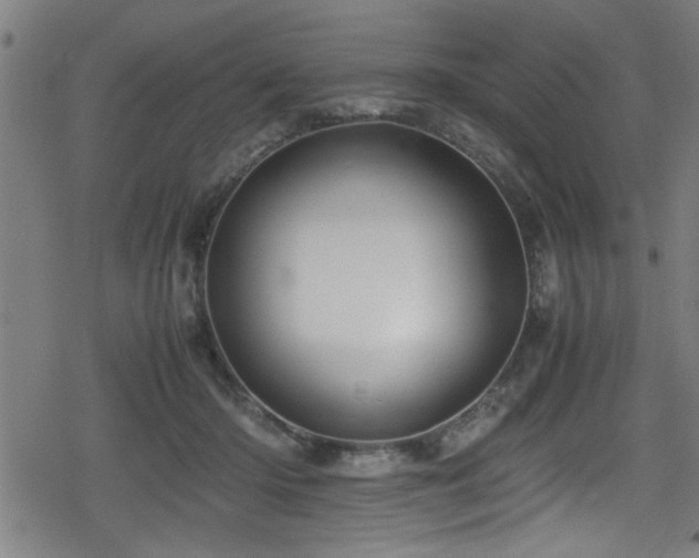 X0000078860414200611131208